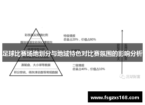 足球比赛场地划分与地域特色对比赛氛围的影响分析